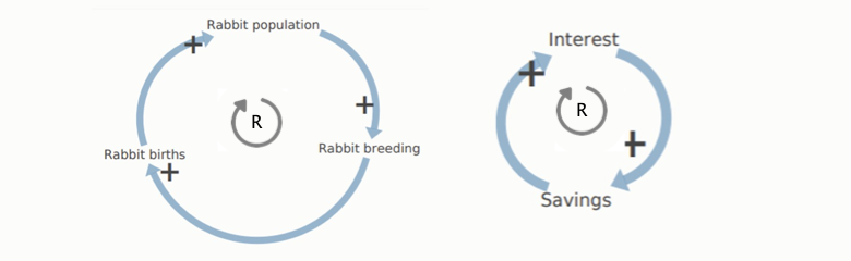 Two systems maps: growth of a rabbit population and growth of a savings account. See image description for more detail.